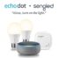 Voice Control Echo Dot (3rd Gen) bundle with Amazon Smart Plug – Heather Gray